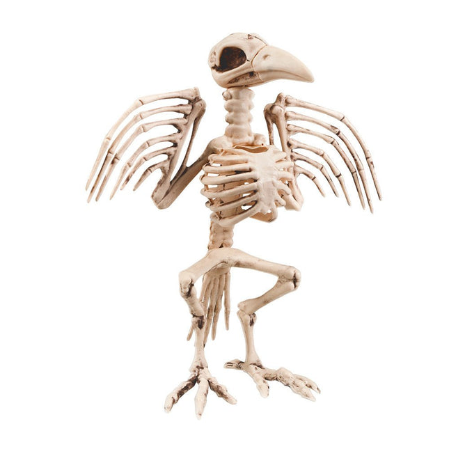 Halloween Skelet Kraai 32cm van Boland koop je bij Partywinkel