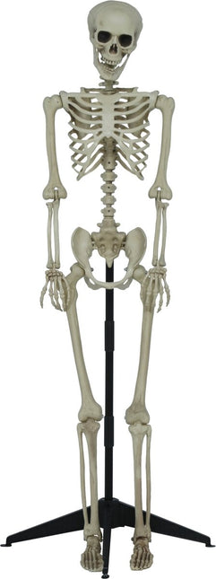 Halloween Skelet Op Standaard 1,55m van Fiestas Guirca koop je bij Partywinkel