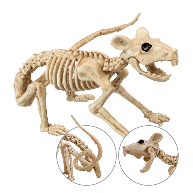 Halloween Skelet Rat 40cm van Widmann koop je bij Partywinkel