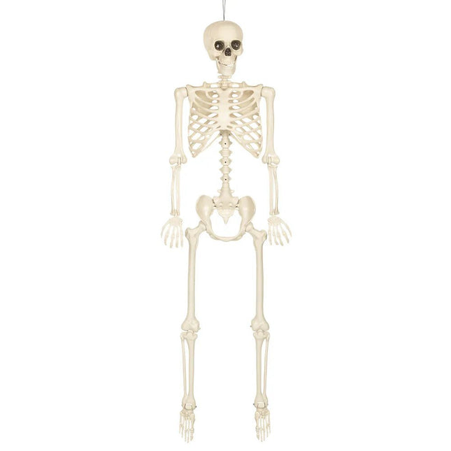 Hangdecoratie Skelet skinny (160 cm) van Boland koop je bij Partywinkel