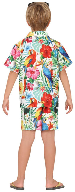 Hawaii Kostuum Jongen van Fiestas Guirca koop je bij Partywinkel