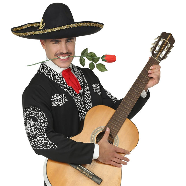 Hoed Mexicaans Luxe 50cm van Widmann koop je bij Partywinkel