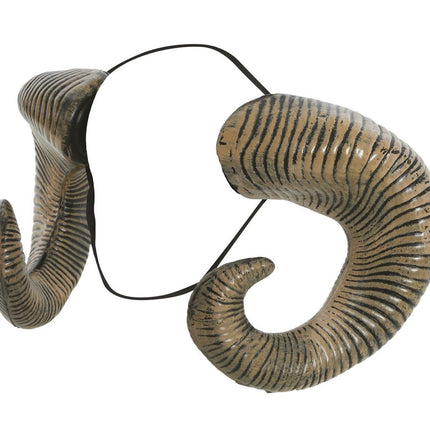 Hoorns van Fiestas Guirca koop je bij Partywinkel