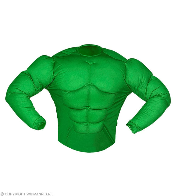 Hulk Shirt Kind Gespierd van Widmann koop je bij Partywinkel