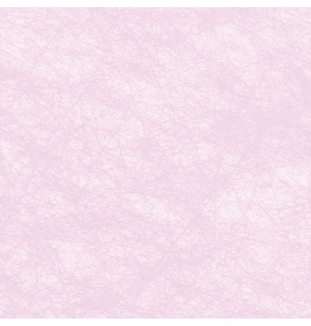 Lichtroze Lint Pastel 10m van CHAKS koop je bij Partywinkel