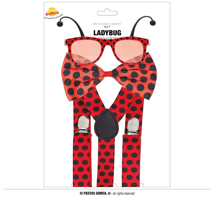 Lieveheersbeestje Set 3 delig van Fiestas Guirca koop je bij Partywinkel