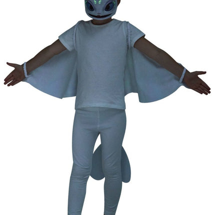 Light Fury Pak Kind Set van Rubies koop je bij Partywinkel