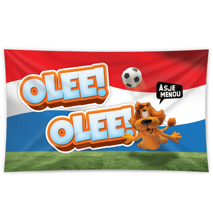 Loeki De Leeuw Gevelvlag 1.5m van Paper Dreams koop je bij Partywinkel