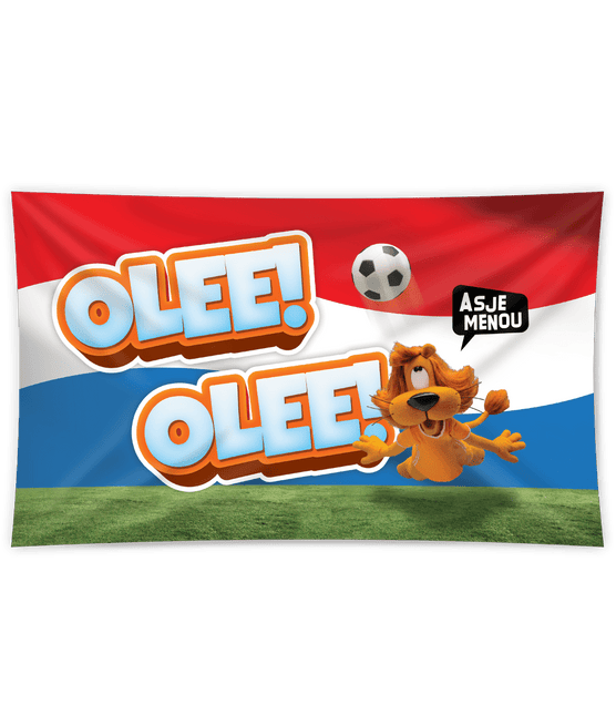 Loeki De Leeuw Gevelvlag 1.5m van Paper Dreams koop je bij Partywinkel