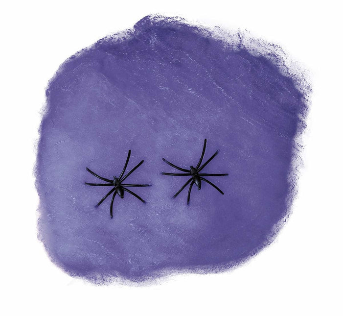 Paarse Spinnenweb 60g van Fiestas Guirca koop je bij Partywinkel