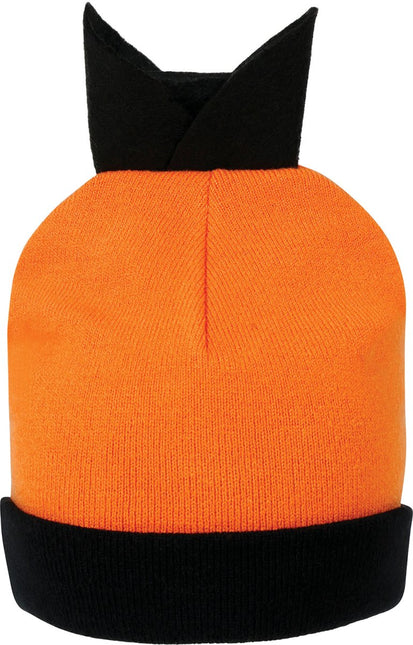 Pompoen Muts van Fiestas Guirca koop je bij Partywinkel