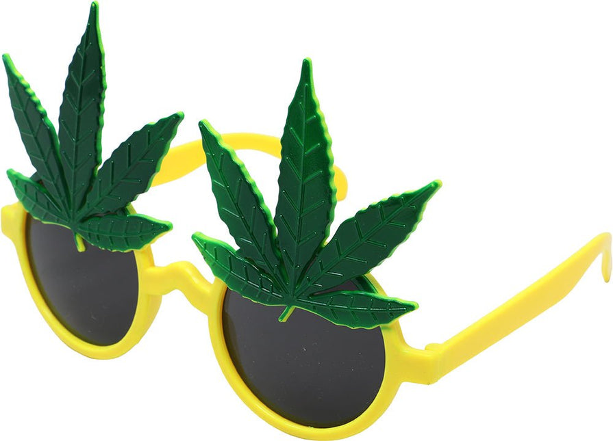 Rasta Bril van Fiestas Guirca koop je bij Partywinkel