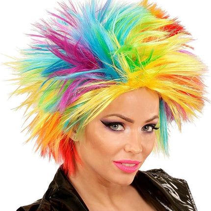 Regenboog Pruik van Widmann koop je bij Partywinkel