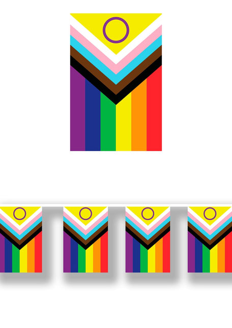 Regenboog Slinger 2,5m van Fiestas Guirca koop je bij Partywinkel