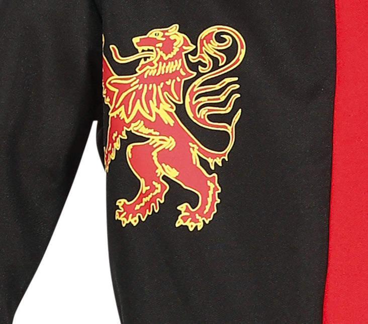 Ridder Kostuum Jongen Middeleeuwen van Fiestas Guirca koop je bij Partywinkel