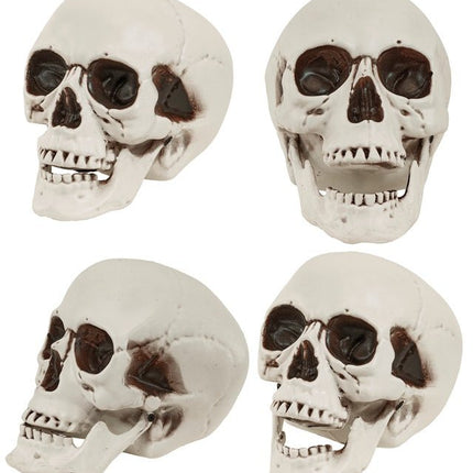 Schedel met Beweegbare Kaak 12cm van Widmann koop je bij Partywinkel