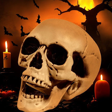 Schedel met Beweegbare Kaak 12cm van Widmann koop je bij Partywinkel