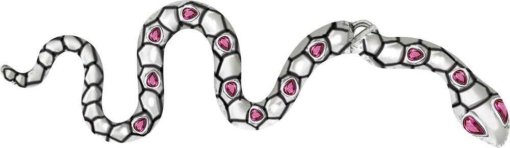 Slang Oorbellen Zilver 6cm van Fiestas Guirca koop je bij Partywinkel