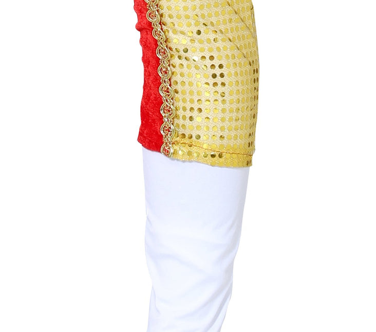 Stierenvechter Kostuum Torero van Fiestas Guirca koop je bij Partywinkel