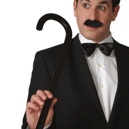 Stripacteur Wandelstok 80cm van Fiestas Guirca koop je bij Partywinkel