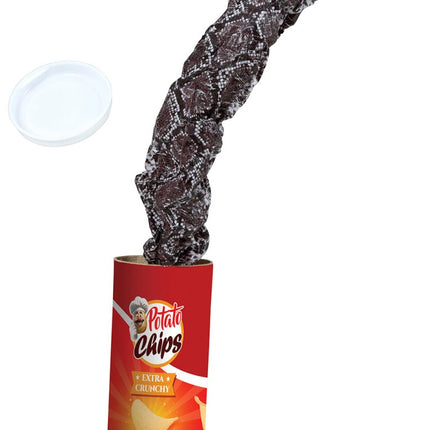 Surprise potato can 20 cm van Partywinkel koop je bij Partywinkel