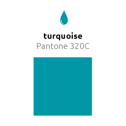 Turquoise Ballonnen 30cm 50st van Balloonia koop je bij Partywinkel