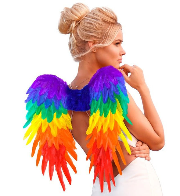 VEREN VLEUGELS REGENBOOG OPVOUWBAAR 50 X 50 CM van Widmann koop je bij Partywinkel