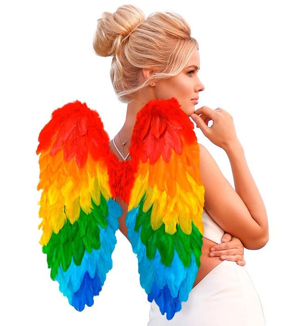 VEREN VLEUGELS REGENBOOG OPVOUWBAAR 50 X 50 CM van Widmann koop je bij Partywinkel