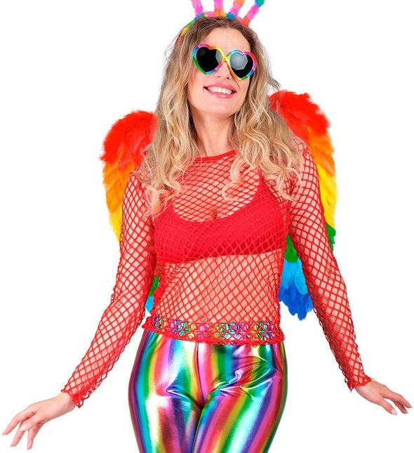 VEREN VLEUGELS REGENBOOG OPVOUWBAAR 50 X 50 CM van Widmann koop je bij Partywinkel