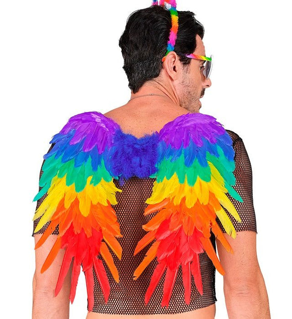 VEREN VLEUGELS REGENBOOG OPVOUWBAAR 50 X 50 CM van Widmann koop je bij Partywinkel