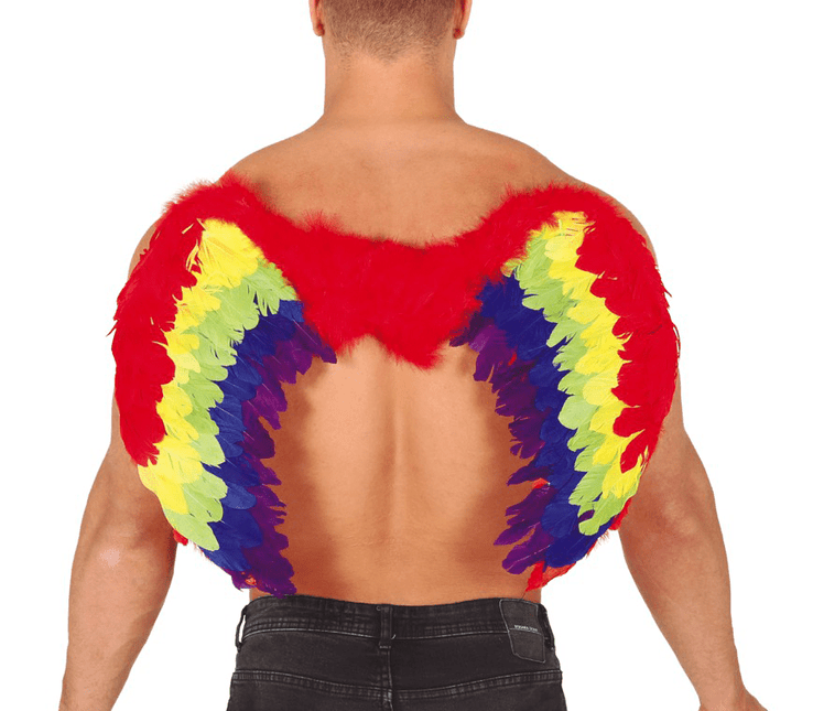 Verenvleugels Gekleurd 80cm van Fiestas Guirca koop je bij Partywinkel