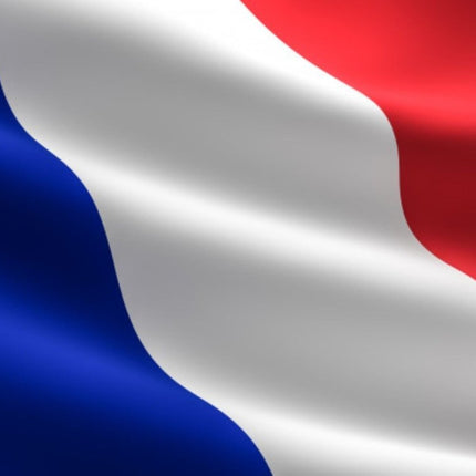 Vlag Frankrijk 150cm van Partychimp koop je bij Partywinkel