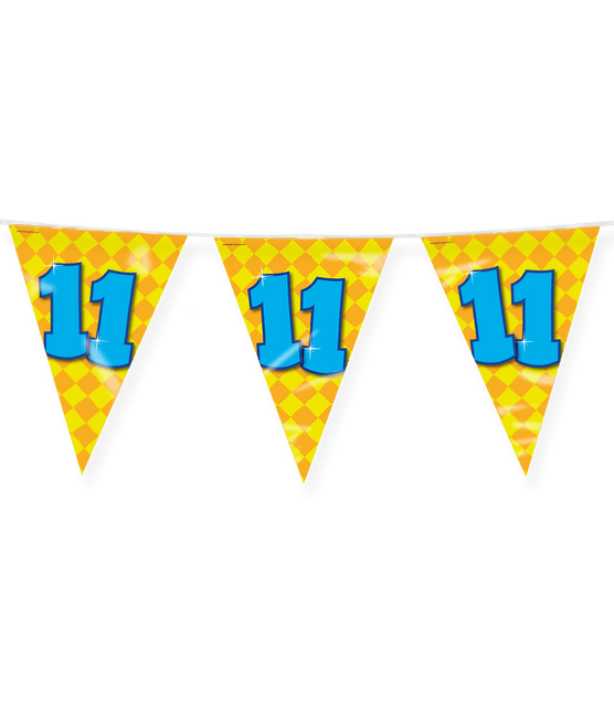 Vlaggenlijn 11 Jaar Gekleurd 10m van Paper Dreams koop je bij Partywinkel