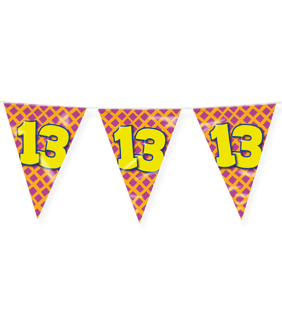 Vlaggenlijn 13 Jaar Gekleurd 10m van Paper Dreams koop je bij Partywinkel