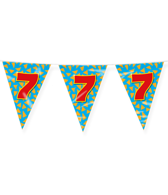 Vlaggenlijn 7 Jaar Gekleurd 10m van Paper Dreams koop je bij Partywinkel