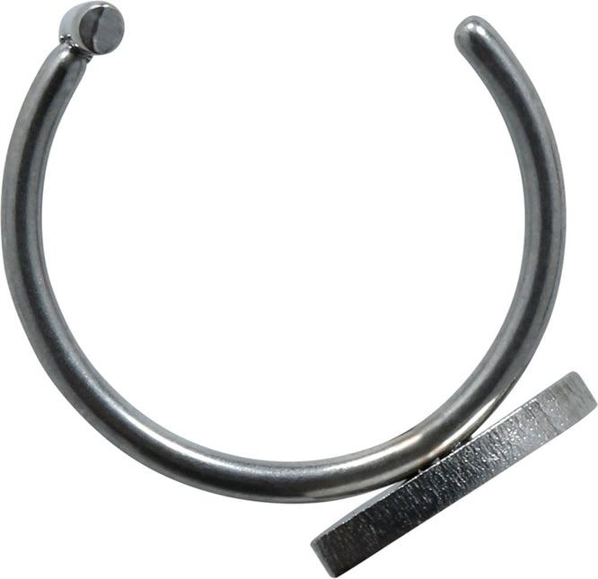 Zilveren Nep Piercing Gothic 2st van Fiestas Guirca koop je bij Partywinkel