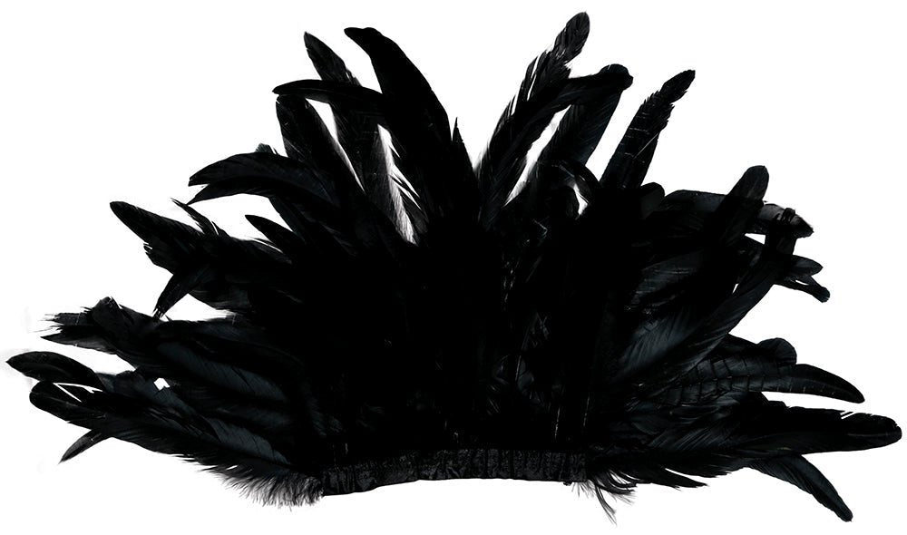 Zwarte Kraag Veren van Fiestas Guirca koop je bij Partywinkel